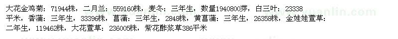 求購大花金雞菊、麥冬、大花萱草