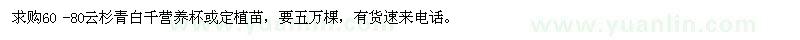 求購60-80云杉青白千