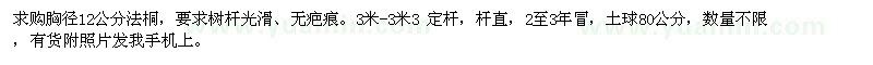 求購胸徑12公分法桐