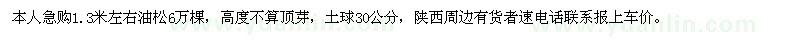 求購(gòu)1.3米左右油松