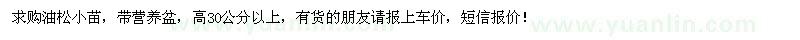 求購油松小苗