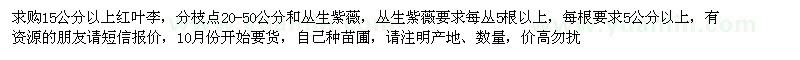 求購(gòu)紅葉李 叢生紫薇