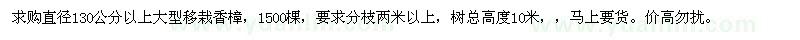 求購直徑130公分以上大型移栽香樟