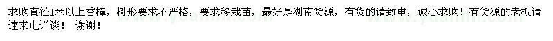 求購1米以上香樟