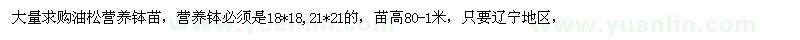 求購大量油松
