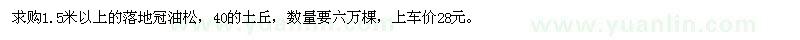 求購1.5米以上的落地冠油松 
