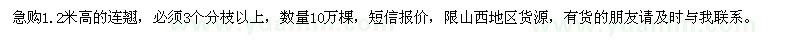 求購(gòu)1.2米高的連翹