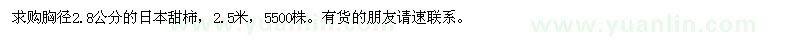 求購(gòu)胸徑2.8公分的日本甜柿
