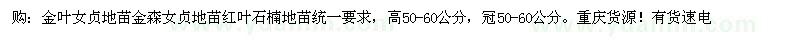 求購金葉女貞 金森女貞 紅葉石楠 