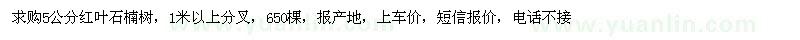 求購5公分紅葉石楠樹