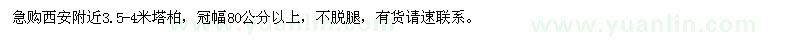 求購3.5-4米塔柏