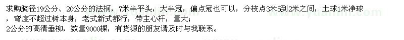 求購法桐、高清垂柳