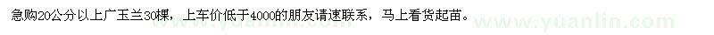 求購(gòu)20公分以上廣玉蘭