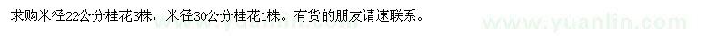 求購桂花