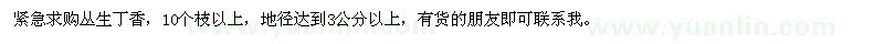 求購叢生丁香