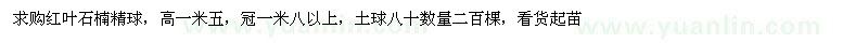 求購紅葉石楠精球高一米五