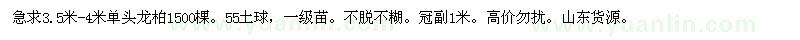求購3.5米-4米單頭龍柏