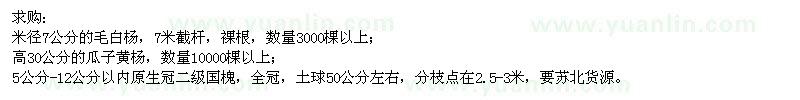 求購毛白楊、瓜子黃楊、國槐