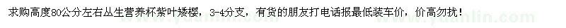 求購高80公分左右叢生紫葉矮櫻