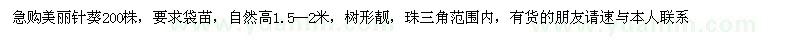 求購美麗針葵