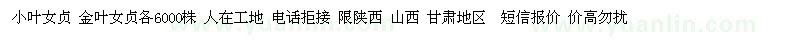求購小葉女貞金葉女貞