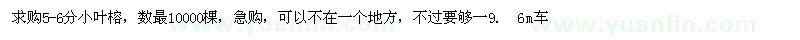 求購5-6分小葉榕
