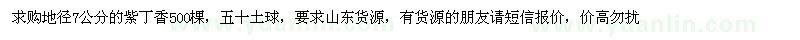 求購地徑7公分的紫丁香