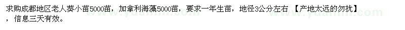 求購老人葵小苗、加拿利海棗
