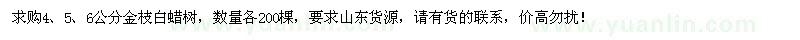 求購4、5、6公分金枝白蠟樹