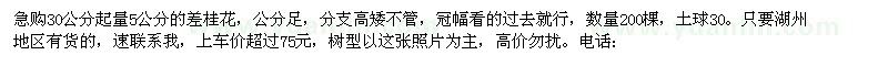 求購30公分起量5公分的差桂花