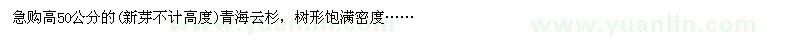 求購高50公分的青海云杉