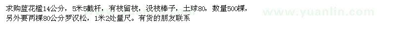 求購(gòu)藍(lán)花楹、羅漢松