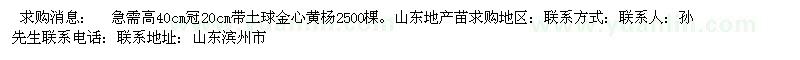 求購高40cm冠20cm帶土球金心黃楊
