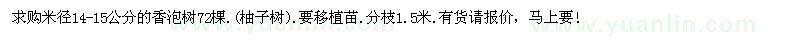 求購香泡樹72棵