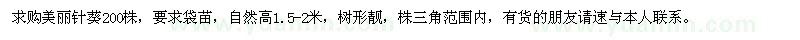 求購(gòu)美麗針葵
