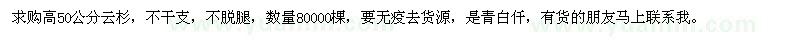 求購高50公分云杉