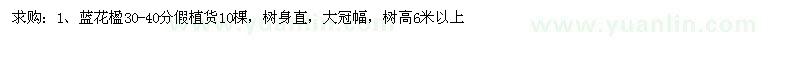 求購(gòu)藍(lán)花楹