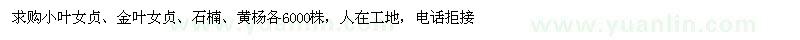 求購小葉女貞、金葉女貞、石楠、黃楊