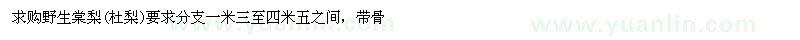 求購野生棠梨（杜梨）
