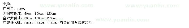 求購(gòu)廣玉蘭、無(wú)刺構(gòu)骨球、金葉女貞球、紅花繼木球