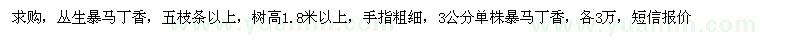 求購(gòu)暴馬丁香