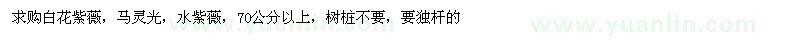 求購白花紫薇、馬靈光、水紫薇