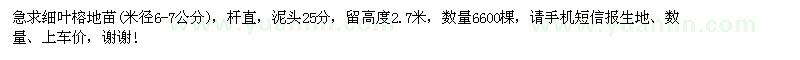 求購細(xì)葉榕地苗米徑6-7公分
