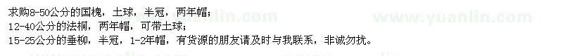 求購國槐,法桐,垂柳