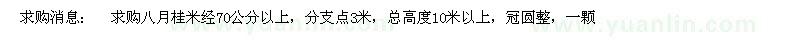 求購(gòu)八月桂米經(jīng)70公分以上