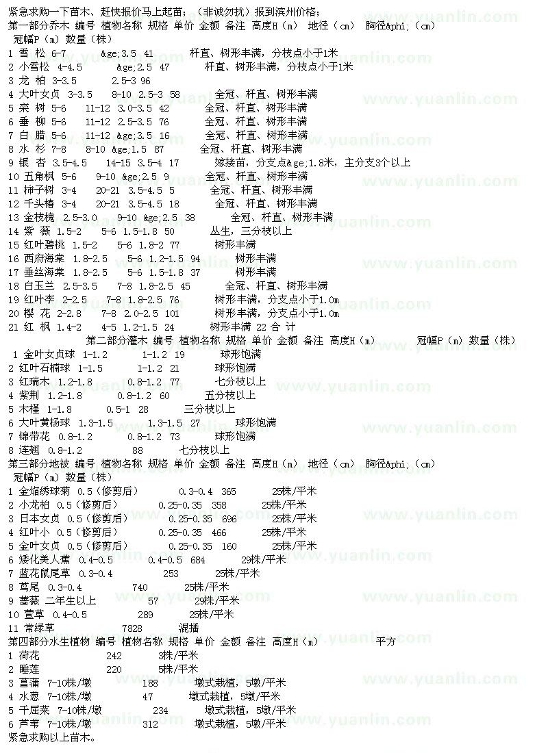 求購雪松 龍柏 大葉女貞 銀杏 欒樹 垂柳 白蠟 五角楓 