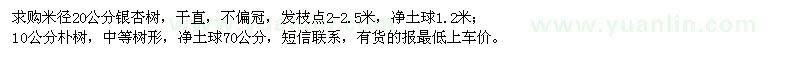 求購20公分銀杏樹、10公分樸樹
