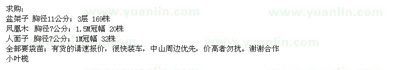 求購盆架子、鳳凰木、人面子