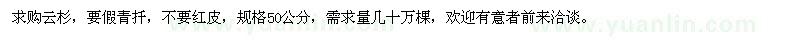 求購(gòu)50公分的云杉