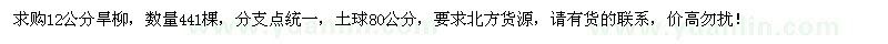 求購12公分旱柳